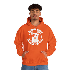 Summer Camp Exclusive Member Unisex Sweatshirt Hoodie BL02