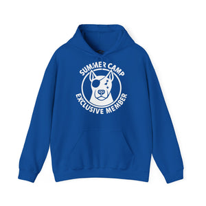 Summer Camp Exclusive Member Unisex Sweatshirt Hoodie BL02