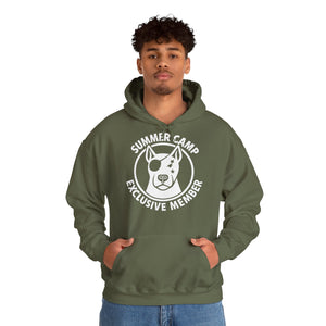 Summer Camp Exclusive Member Unisex Sweatshirt Hoodie BL02