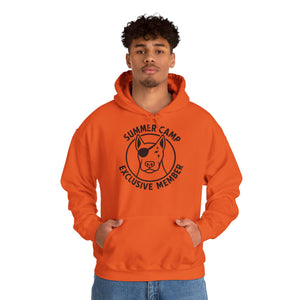 Summer Camp Exclusive Member Unisex Sweatshirt Hoodie BL02