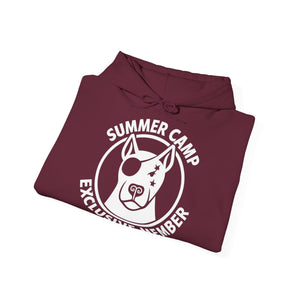Summer Camp Exclusive Member Unisex Sweatshirt Hoodie BL02