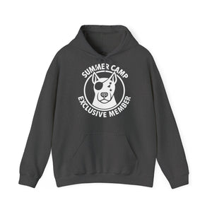 Summer Camp Exclusive Member Unisex Sweatshirt Hoodie BL02